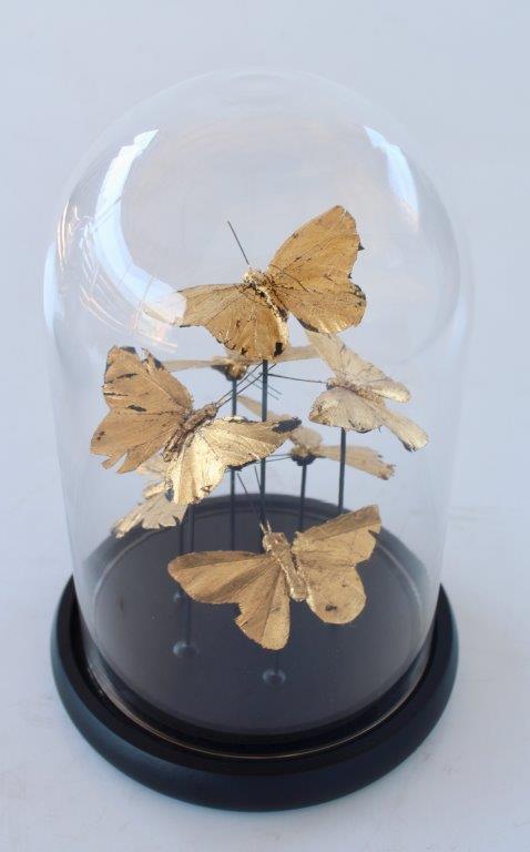 Small Glass Dome Gold Butterflies